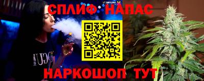 jwh Будённовск