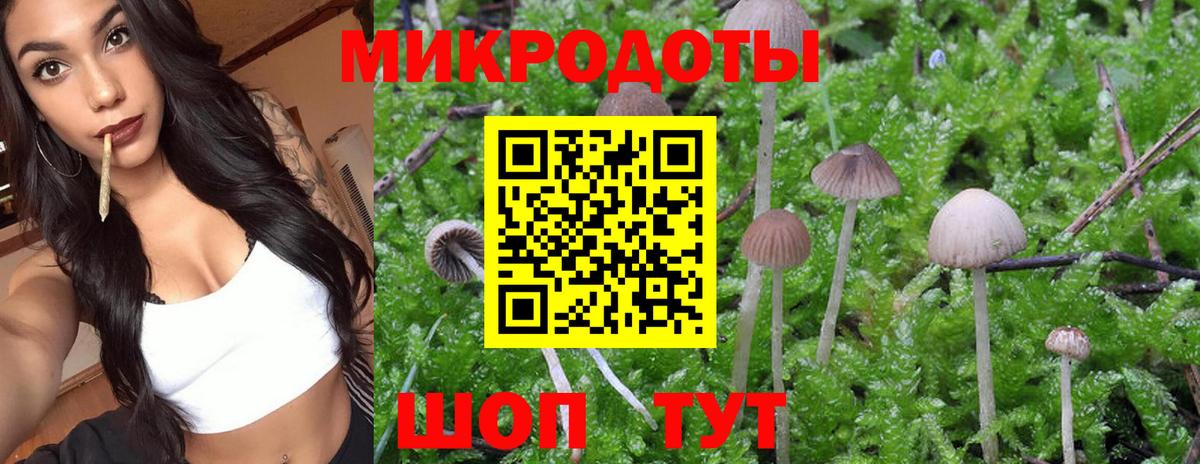 Майский  Псилоцибиновые грибы Psilocybe  Вход с VPN 